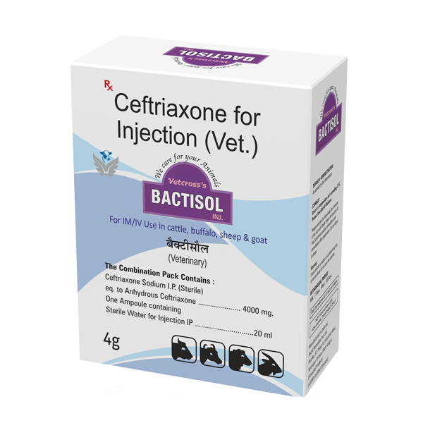 Bactisol Injection-image