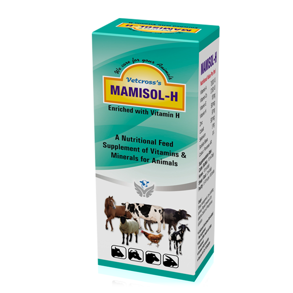 Mamisol H Liquid-image